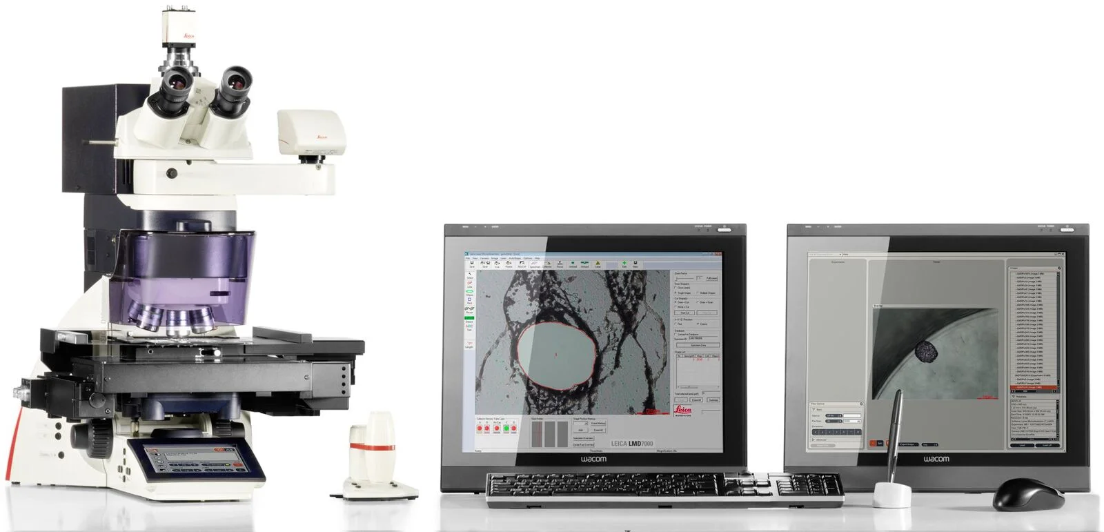 https://www.targetedbioscience.com/post/laser-capture-microdissection